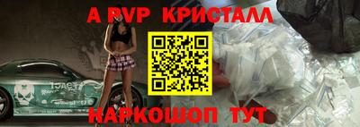 стаф Кинель