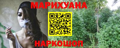 сатива Камышлов